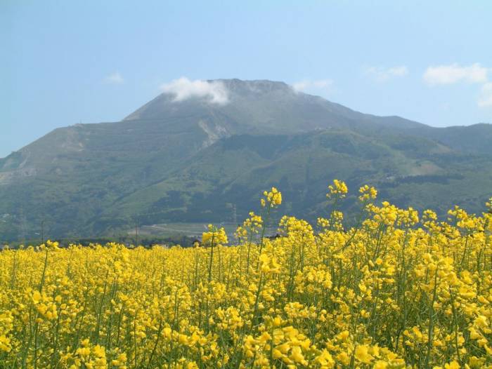 滋賀県米原市にある伊吹山の風景