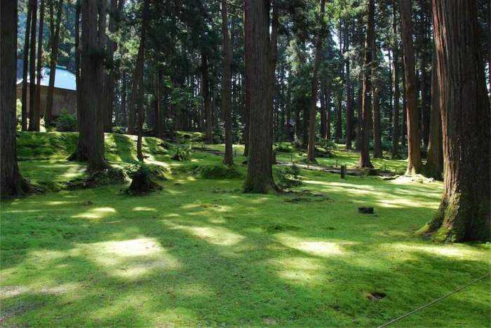 福井県勝山市の人気の観光地白山平泉寺