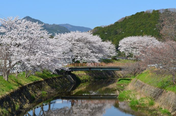 自治体で婚活支援を行っている兵庫県丹波市の風景