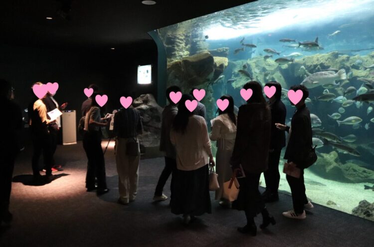 海響館でゲームを楽しむ参加者たち