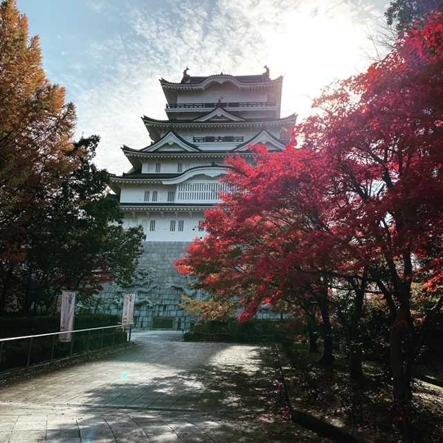 勝山城博物館を下から見上げた写真