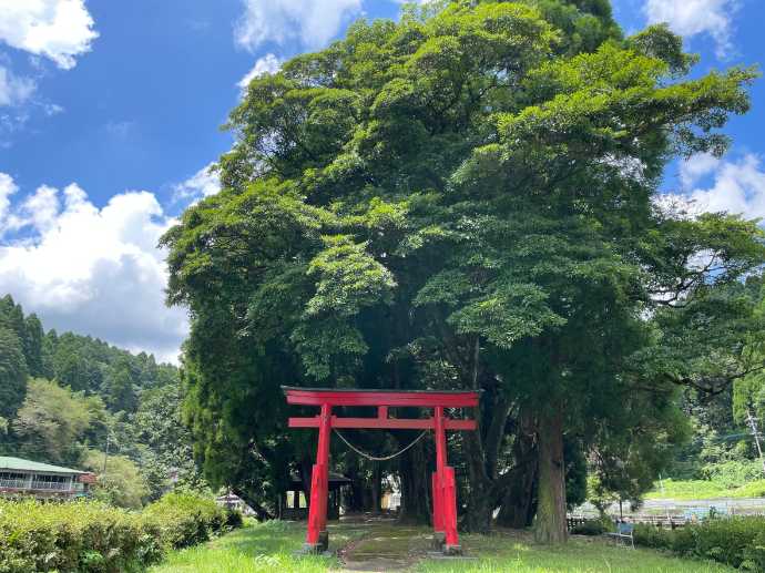 宮崎県小林市にある「出の山公園」内にある中ノ島