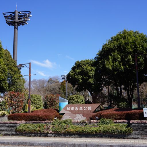 相模原北公園の様子