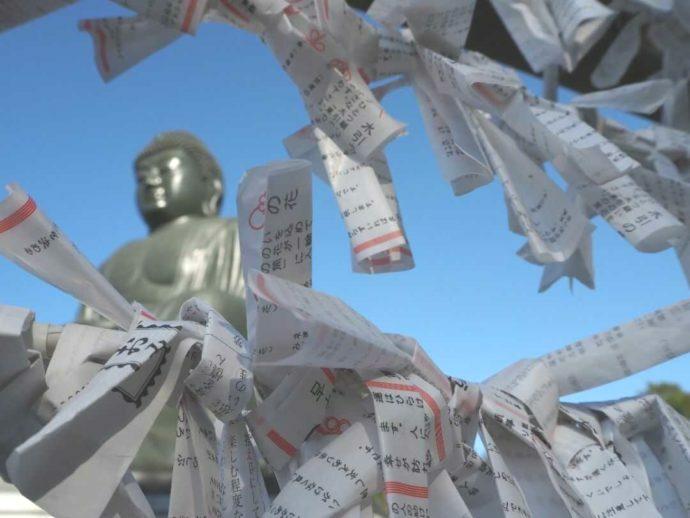 寳光寺 鹿野大佛で結びつけられたおみくじ