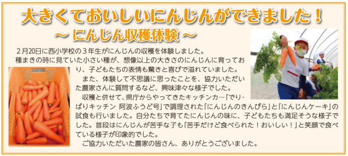 藍住町の広報誌「広報あいずみNo.950」から抜粋したにんじん収穫体験の記事