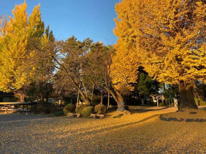 赤岩山光恩寺の秋