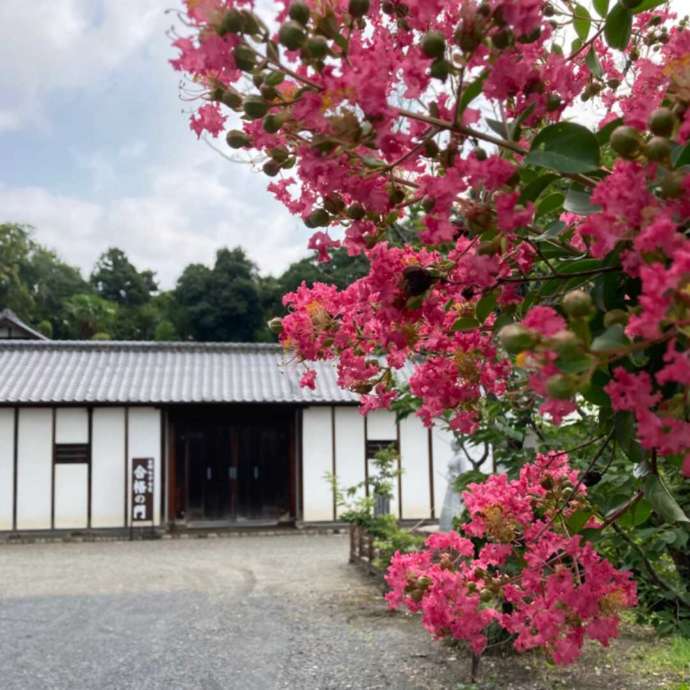 赤岩山光恩寺の合格の門