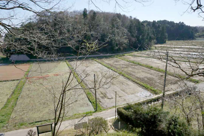 幽学の指導で整理された耕地