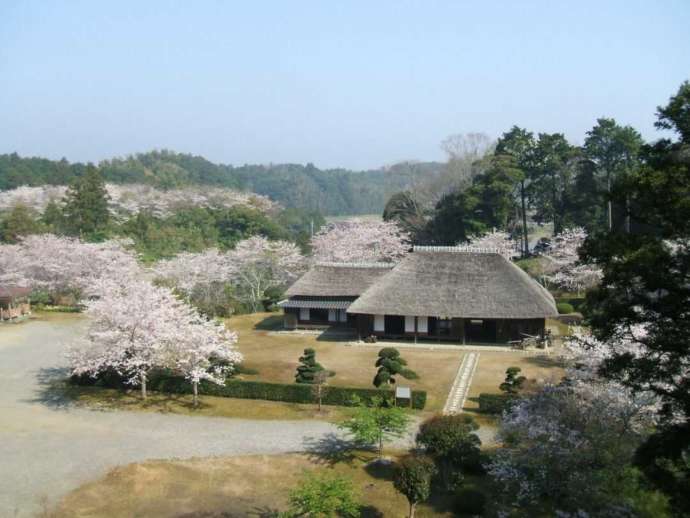 春の旧林家住宅