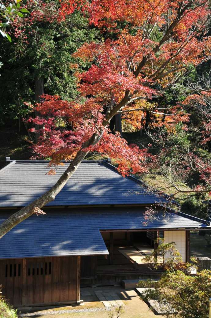 秋の大原幽学旧宅