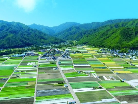 長野県朝日村の田園風景