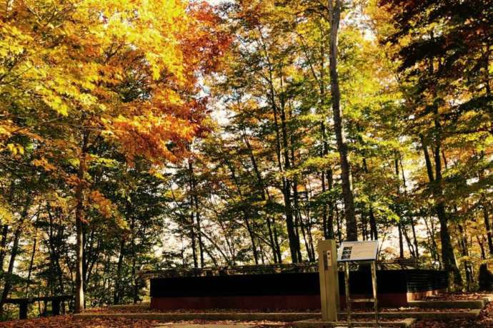 ブナが美しく色づいた紅葉時期の空気神社