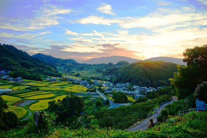 明日香村にある阪田棚田の景観