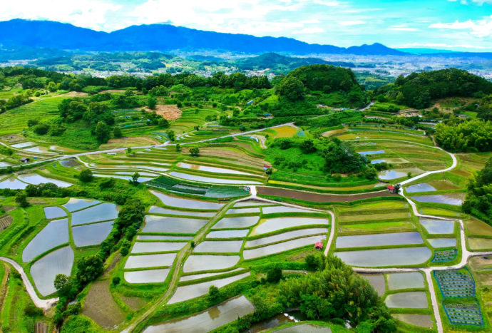 明日香村にある稲渕の棚田の景観