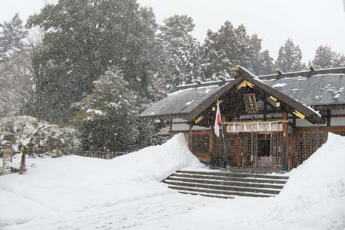 足羽神社の冬景色に包まれた様子