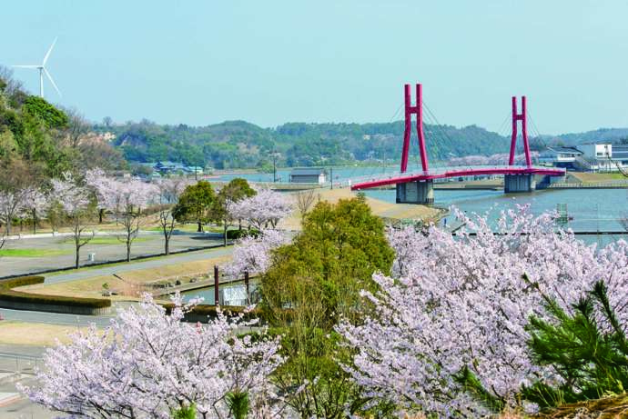 北潟湖とアイリスブリッジの風景