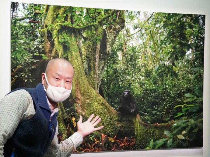 美幌博物館の前川さんの写真を紹介する学芸員さん