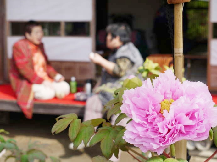 茂原牡丹園の主屋のお茶店