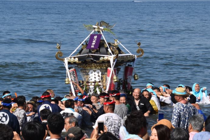 浜降祭で神輿が海に入る「みそぎ」の光景