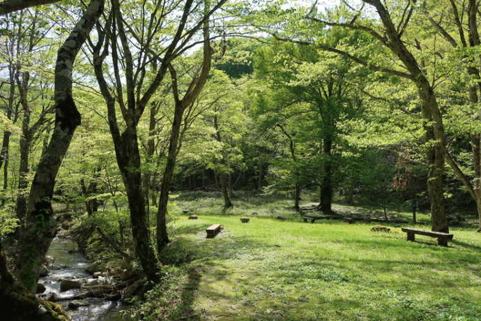 清見町の「こもれび広場」