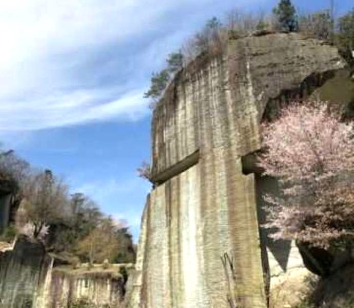 「大谷資料館」敷地内で見られる大谷石の山の岩肌と開花したサクラ