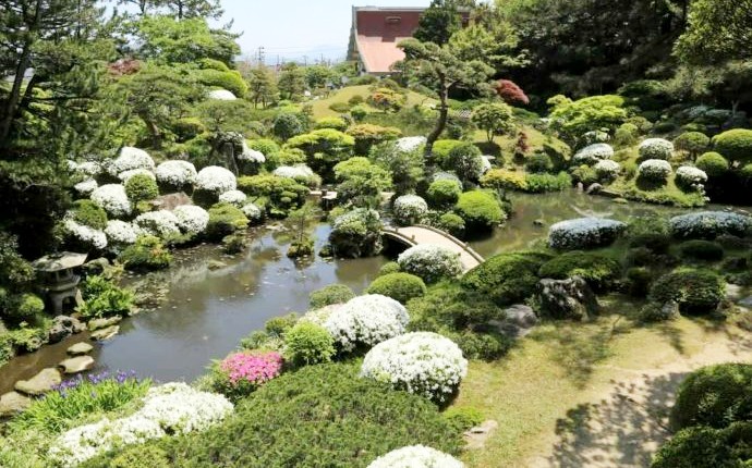 本間美術館にある庭園・鶴舞園の春の風景