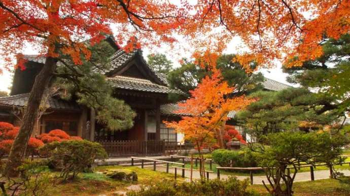 北方文化博物館の庭園の紅葉