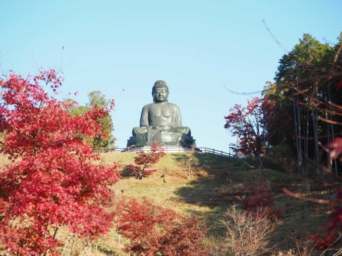 秋の寳光寺 鹿野大佛の美しい紅葉