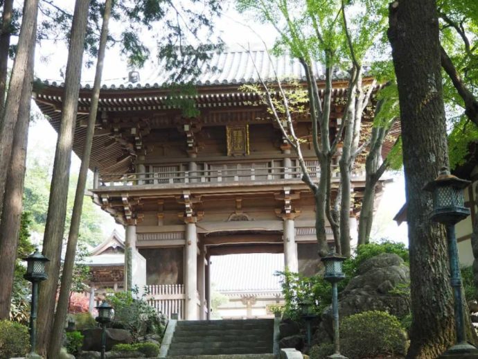 寳光寺 鹿野大佛の山門