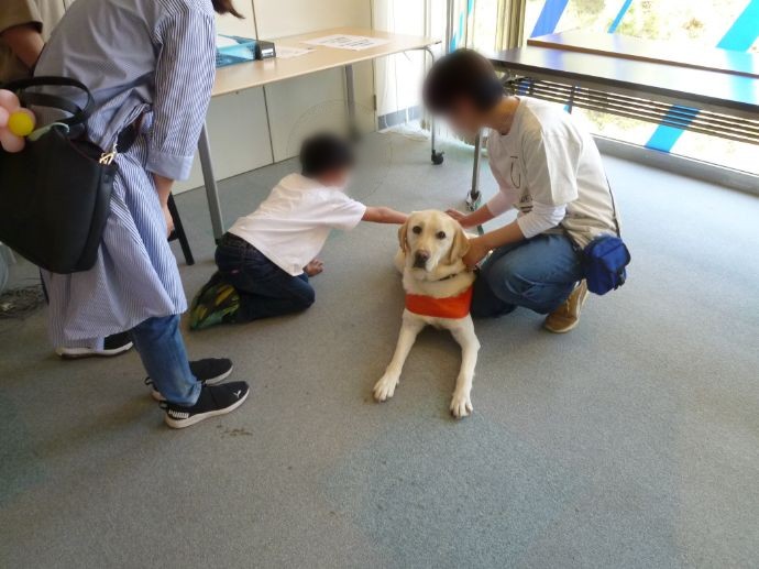 原子力科学館の盲導犬とのふれあいイベントの様子