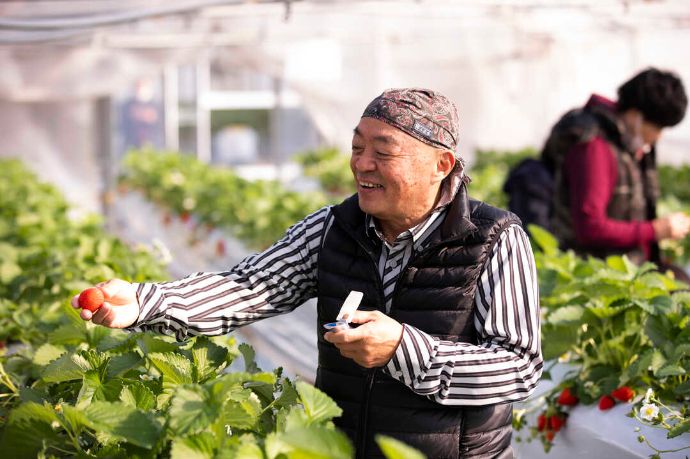 池いちご園の代表である池澄さん