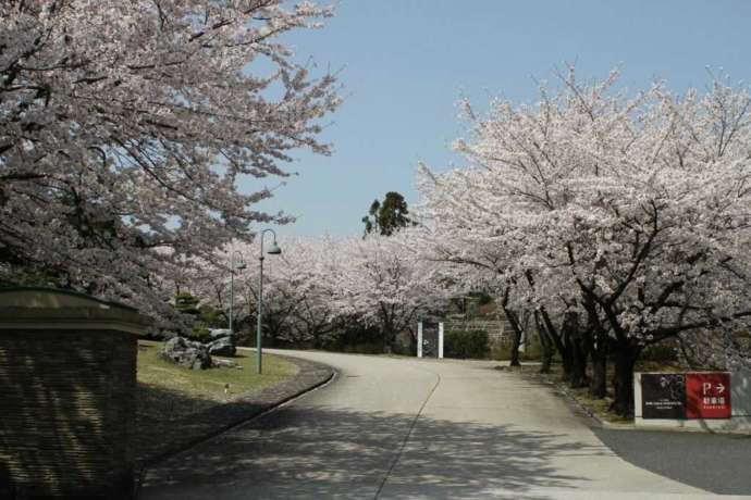 中村美術館からの景色