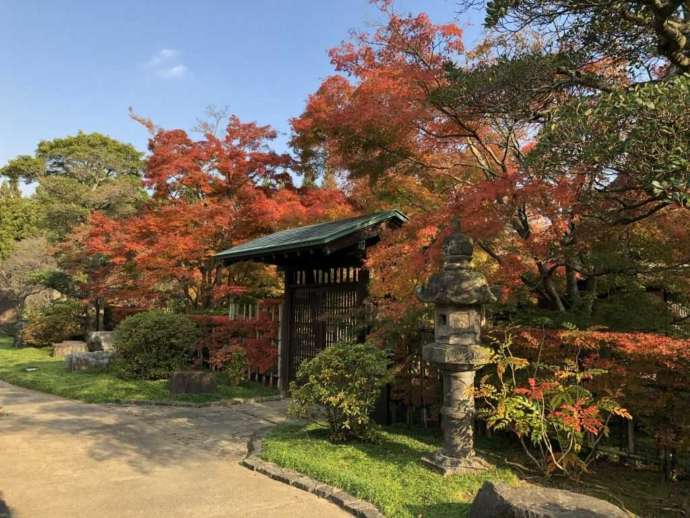 中村美術館からの景色