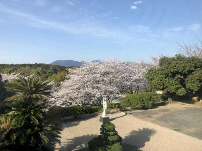 中村美術館からの景色