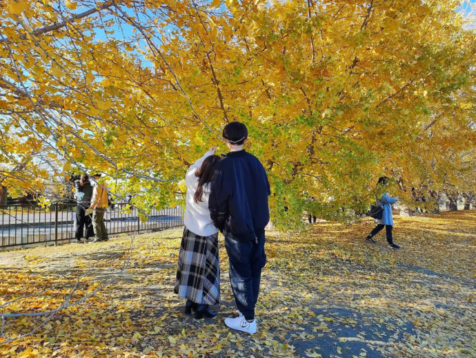 カップルがイチョウの写真を撮っている様子