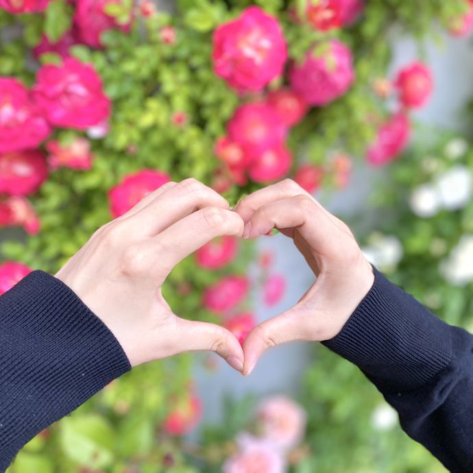 HAKKOガーデンで季節の花をバックに記念撮影