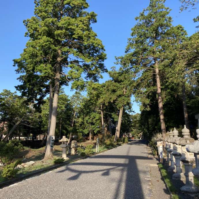 伊奈冨神社の境内の長い参道