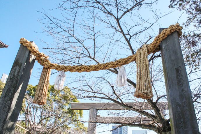 伊勢山皇大神宮の大注連縄