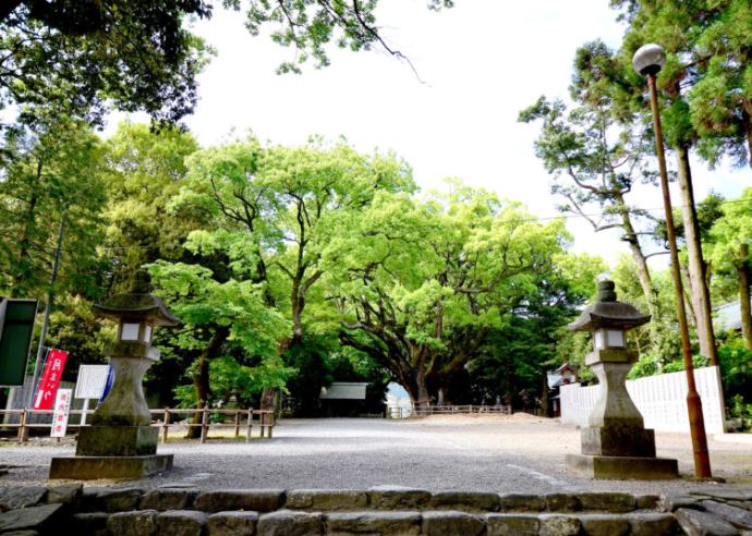 伊曽乃神社で神前結婚式を挙げるメリットについて