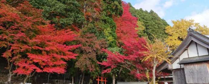 秋の周山 慈眼寺