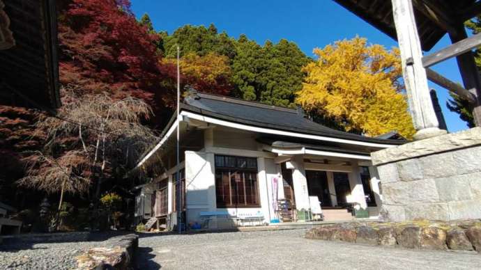 周山 慈眼寺の大イチョウと本堂