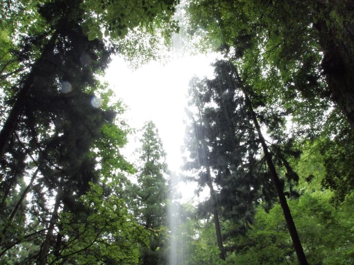 「吉滝」を裏側から見た写真