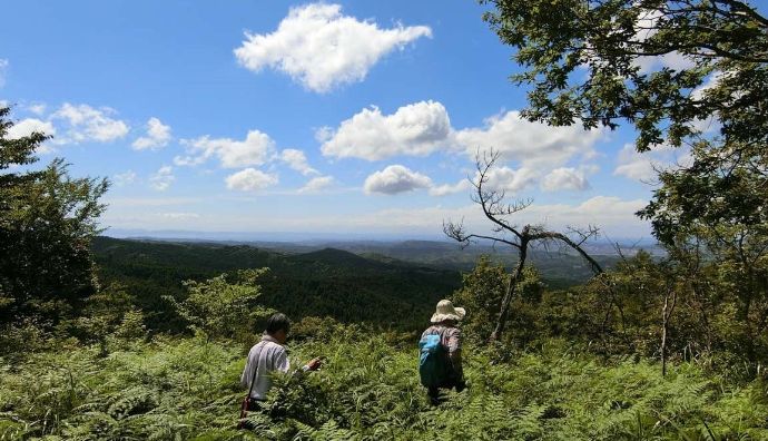 鹿野山自然学校のワイルド・リトリートを楽しむ利用者