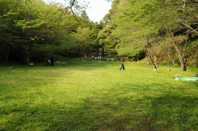 歩崎森林公園にある芝生広場の写真