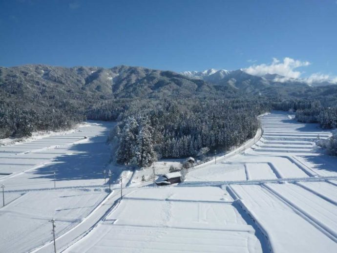 勝山城博物館より見下ろした雪景色の国史跡白山平泉寺旧境内