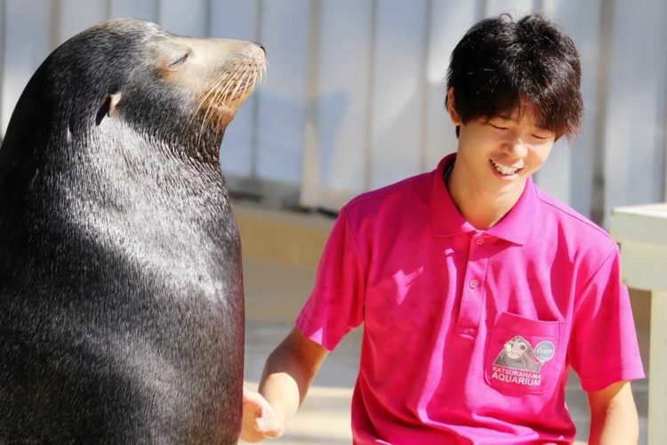 桂浜水族館のアシカショーを担当している飼育員さん