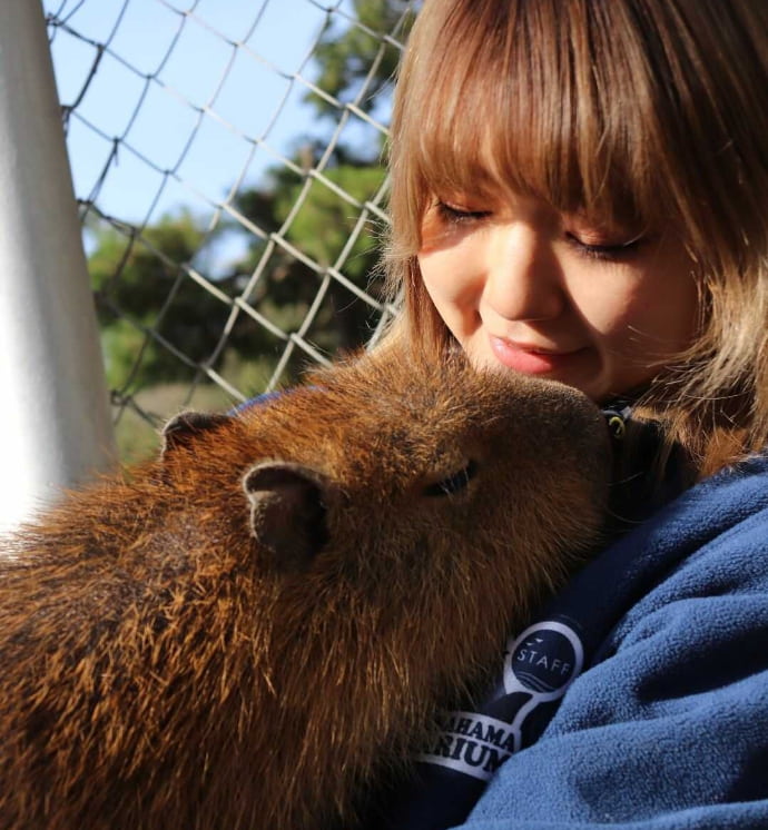 桂浜水族館の企画広報を務める森香央理さんとカピバラ