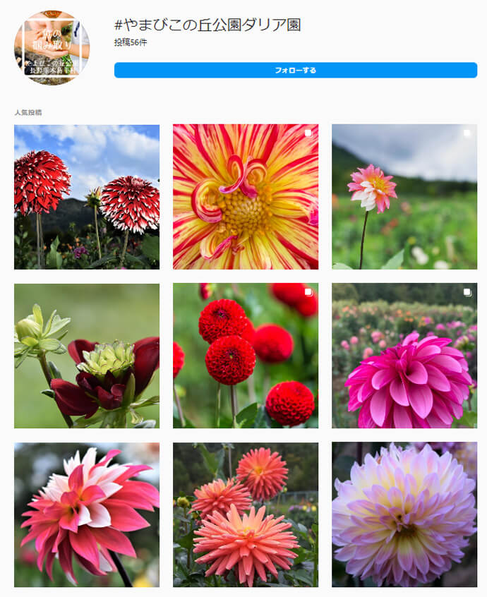 ダリア園のインスタ画面