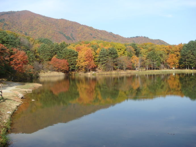 池の周辺の紅葉