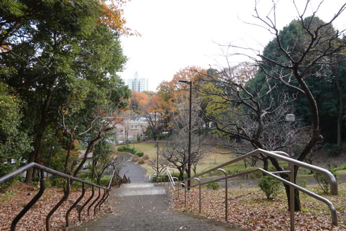 多摩丘陵の公園にある遊歩道